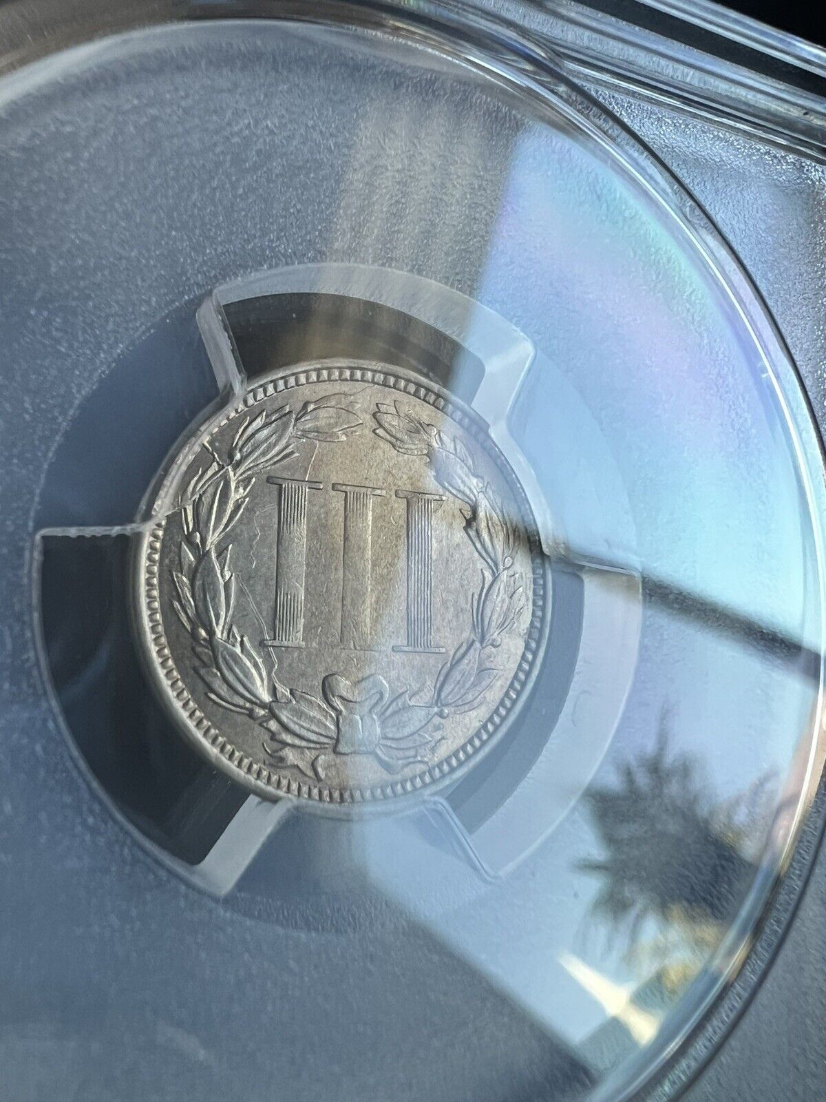 Picture 6 of 11