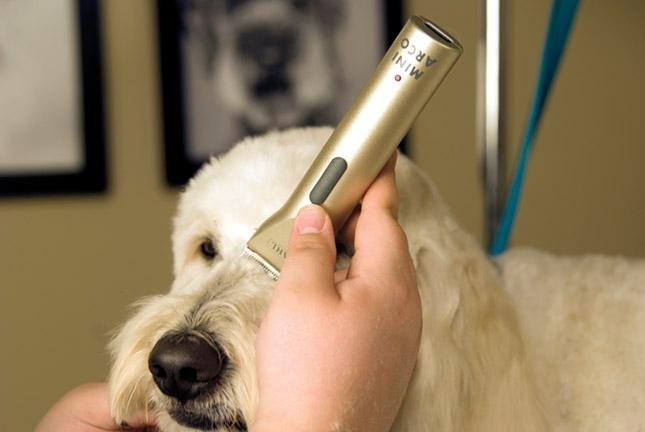 wahl mini arco clippers