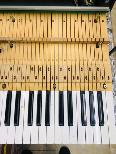 Llave de repuesto para teclado de piano ponderado Roland RD-1000 - teclas usadas - selecciona - Imagen 7 de 9