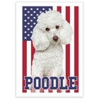 Gift Sticker : Poodle USA Flag American Dog Lover Pet United States Cute