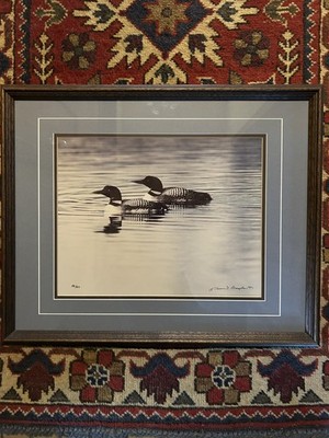 Thomas D Mangelsen Original Print Oxbow Bend Loons Signed & Number 481/950 1982