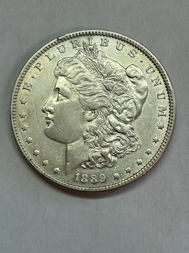 1889-P Morgan Silver Dollar XF “Rim Tick” Vam 22 Barwing Top 100