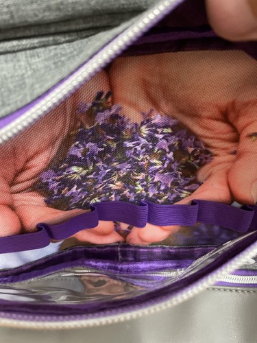 Young Living Large Size Essential Oils Bookbag Backpack 2019 25th Anniversary - Picture 8 of 11