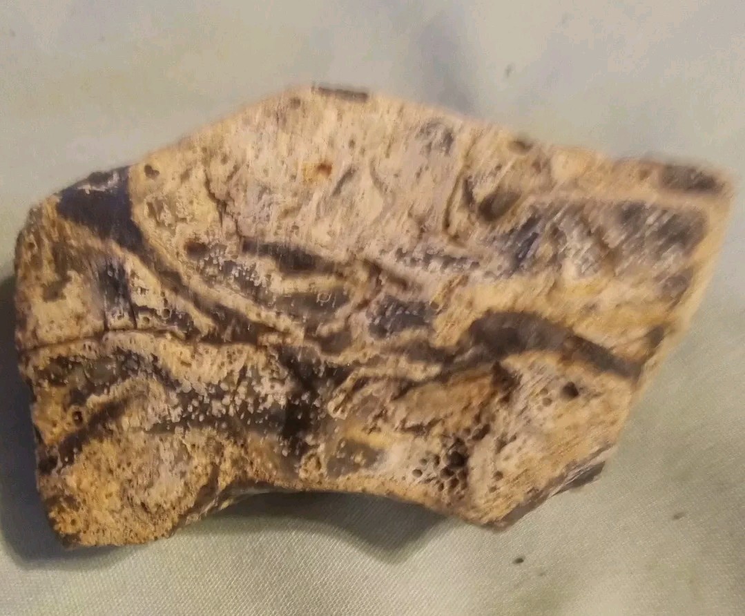 Picture 4 of 13