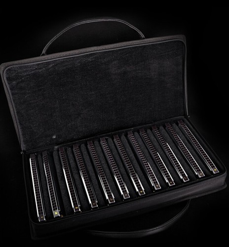 Deluxe Limited Collector's Edition Japan Harmonica Suzuki Winner W24 12pcs x1set - Picture 5 of 8