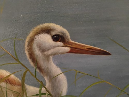 "Sandhill Cranes" by Luyuan Qing 24x36 Shorebirds Original Oil/Canvas - Picture 3 of 6