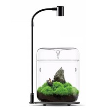 "Glass Plant Terrarium for Succulents and Air Plants Indoor Tabletop Vase"