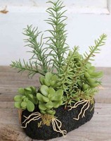 Artplants Kunst Sukkulenten Gesteck Bambi Im Erdballen, GrüN, 19Cm