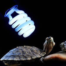 E27 26W UVB Reptile Lamp Super Bright For Desert Terrariums