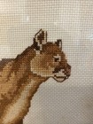 Bild 8 von 17