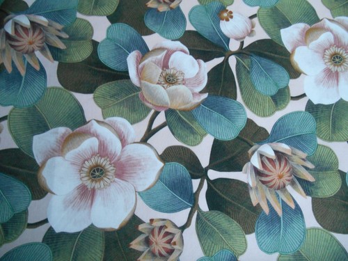 LIBERTY FABRIC - TANA LAWN - CLASSIC & SEASONAL BUY UNIT 20cm x 136cm NEW STOCK - Bild 103 von 130