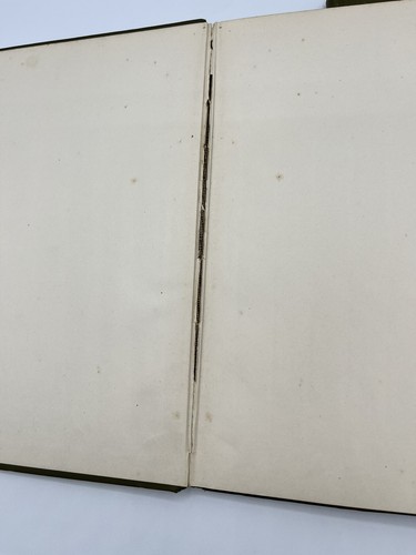 Antique Books Proceedings in the Senate & Statue of Miss Frances E. Willard Book - Foto 4 di 10