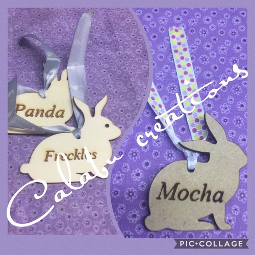 Rabbit, Guinea Pig, Small Animal Pet Guinea Pig Lover Wooden Sign Tag Plaque - Picture 2 of 11