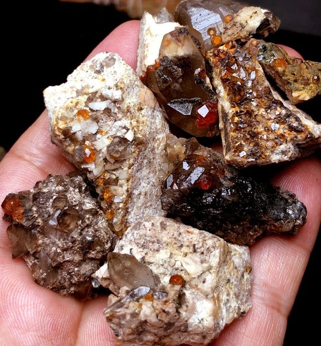 104g 8PC Brand new Rare Black SMOKY QUARTZ Crystal Point&Garnet Spessartine q334 - Picture 1 of 6