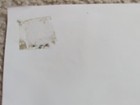 Picture 6 of 14