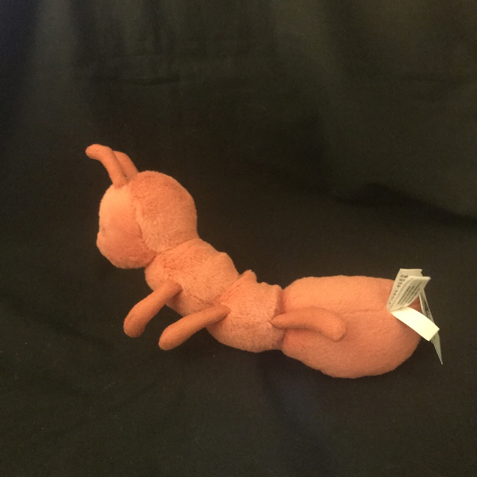 Picture 4 of 10