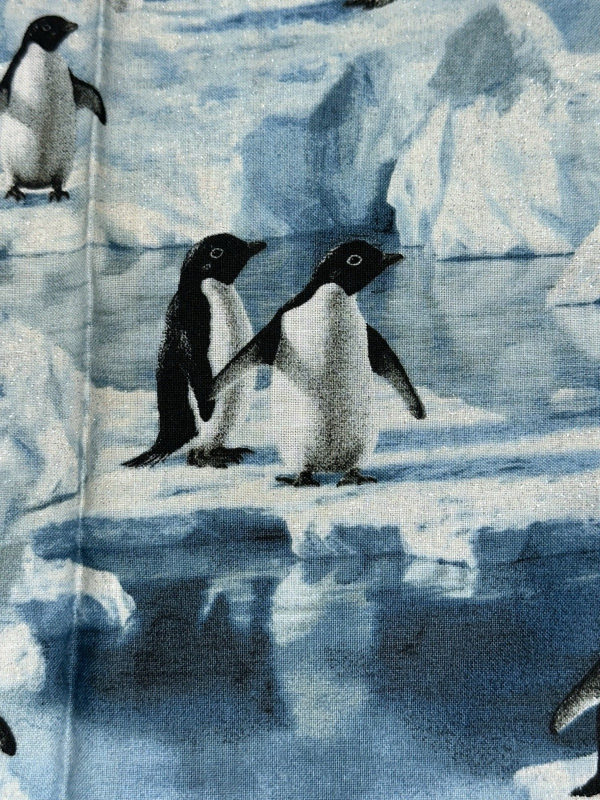 Picture 6 of 24