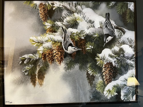 "Prima neve - Nuthatch" di Susan Bourdet firmato e #'d 362/750 incorniciato LE - Foto 8 di 10