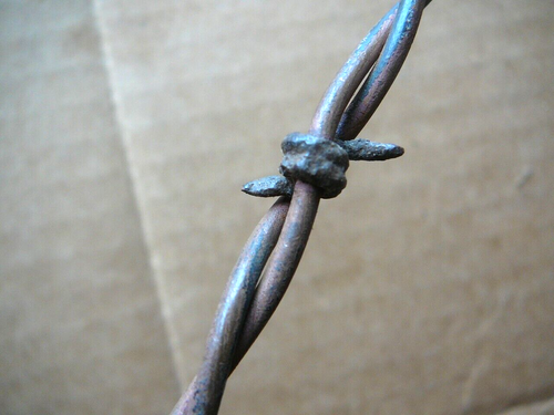 Glidden's Two Point Steel Barbs on Copper Plated Lines - ANTIQUE BARBED WIRE - Picture 3 of 5