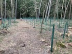 Bild 3 von 24