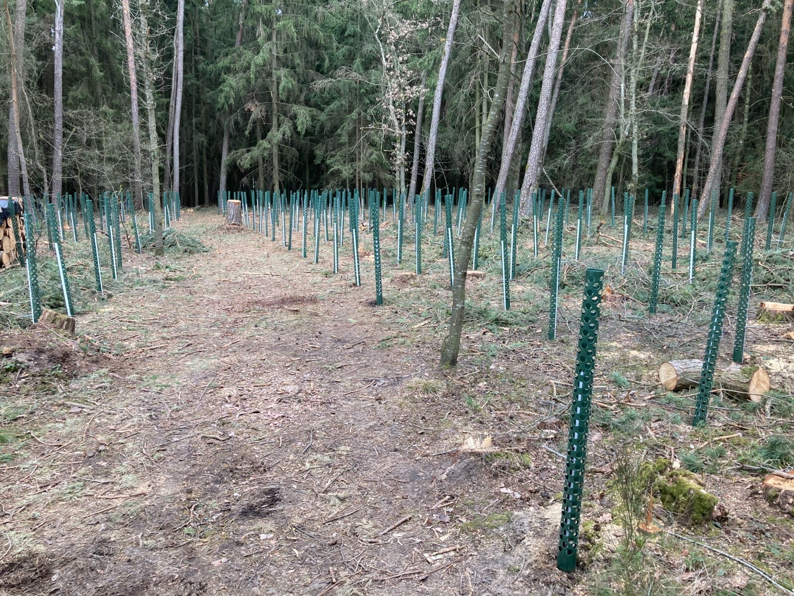 Bild 3 von 24