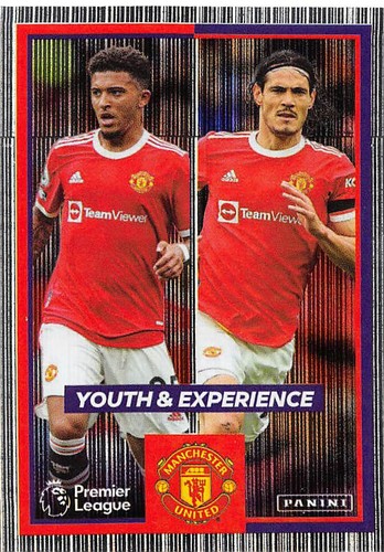 PANINI PREMIER LEAGUE 2022 21/22 STICKER COLLECT 226 - 433 (Everton - Man Utd) - Picture 206 of 209