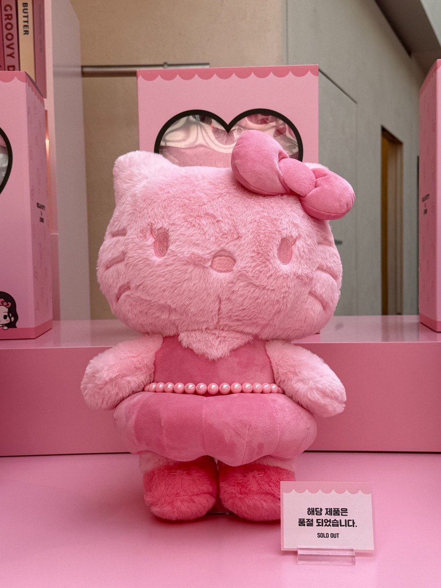 Blackpink Jisoo x Hello Kitty 40cm Plush Doll Limited Edition - 5