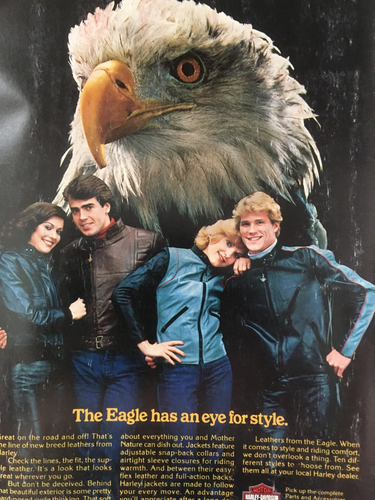Cycle magazine October 1983 - Picture 3 of 3