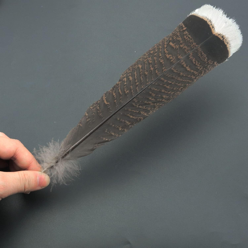 Turkey Feathers ZZHXSM 10Pcs Natural Turkey Feathers Clothing, Hats, Holiday Dec - Picture 3 of 12