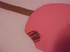 Bild 5 von 8