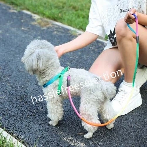 Rainbow Nylon Dog Pet Puppy Lead Leash Training Rope Recall Obedience Slip Walk