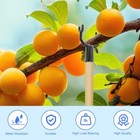 Foto 5 di 7