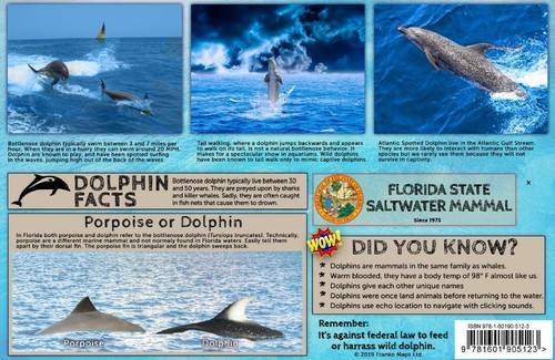Florida Dolphins Guide Card - Imagen 2 de 2