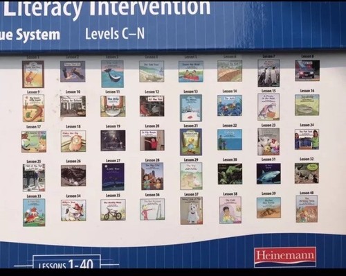 FOUNTAS & PINNELL Blue LLI System Lessons 1-120 Levels C-N (120 Book Set) Reader - 第 22/24 張圖片