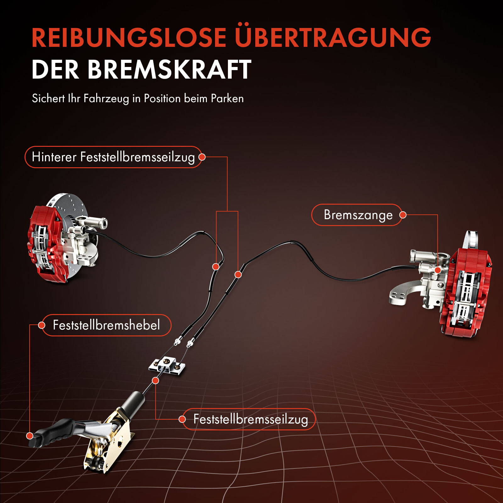 Bild 7 von 8
