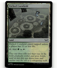 FOIL - MTG Etched Cornfield #258 - Duskmourn: House of Horror