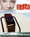 New Dual Motor 1500w Whole Body Power Vibe Vibration Plate Exercise Machine