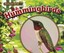 Hummingbirds by Lisa J Amstutz 9781491485170 (Paperback, 2016)
