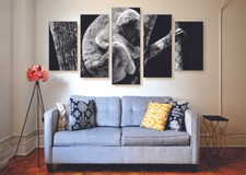 Sleepy Koala Canvas Print Set - Ready To Hang Animal Wall Art Animal Home Decor