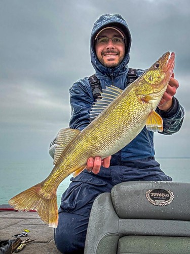 Curly Tail Grubs Soft Plastic Walleye Baits Twister Fishing Lure Jig Trailers 4" - Picture 12 of 23