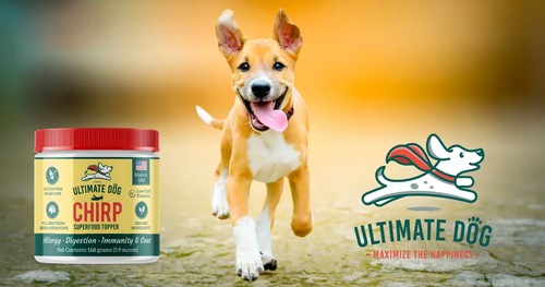 ULTIMATE DOG – ORGANIC SUPERFOOD TOPPER-ALLERGY-DIGESTION-IMMUNITY & COAT -CHIRP - Picture 12 of 12