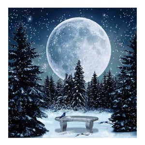 Diamond Painting - Diamant Malerei - "Mond" (4481) | eBay