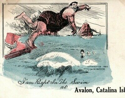 1905 Catalina Is Swimmers at Avalon Beach Historic Photo Print California 