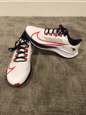 patriots nike pegasus