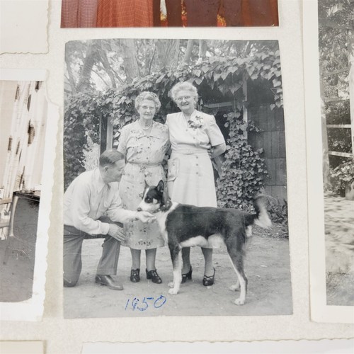 Lotto 8 foto vintage signore con cani coniglietti amputati anni 50-70 fotografia - Foto 6 di 11