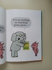 Foto 6 di 24