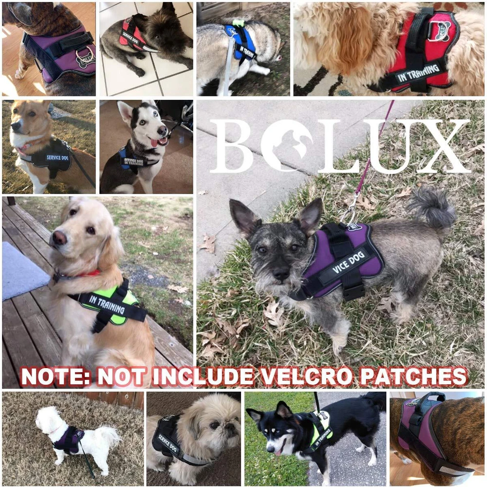 Dog Harness, No-Pull Reflective Dog Vest, Breathable Adjustable Pet Harness w... Dog Harness, No-Pull Reflective Dog Vest, Breathable Adjustable Pet Harness w...