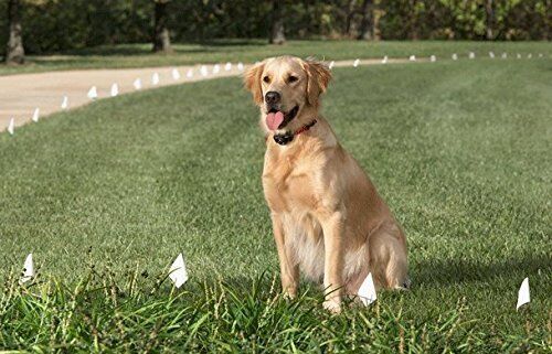 Repuesto de cerca para perros Sparky Pet Co de alta resistencia para sistemas de cercas invisibles (neón - Imagen 3 de 3