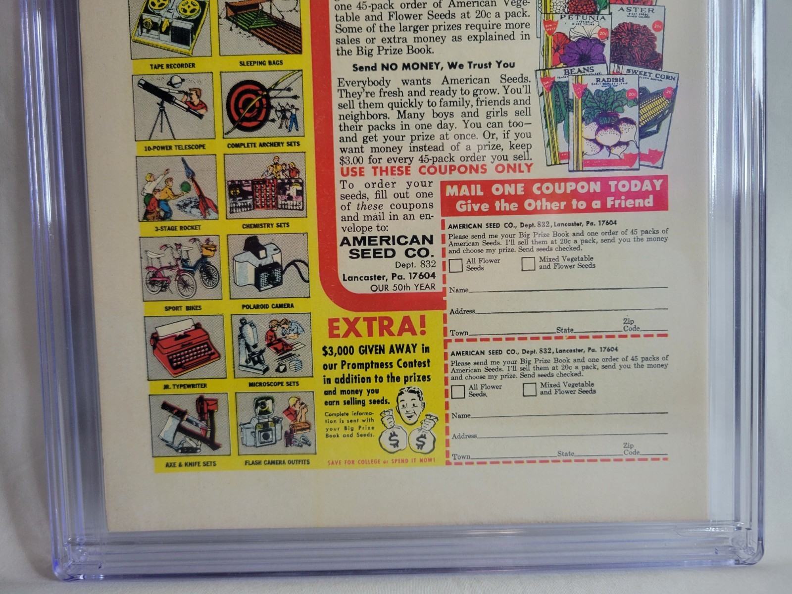 Picture 8 of 8