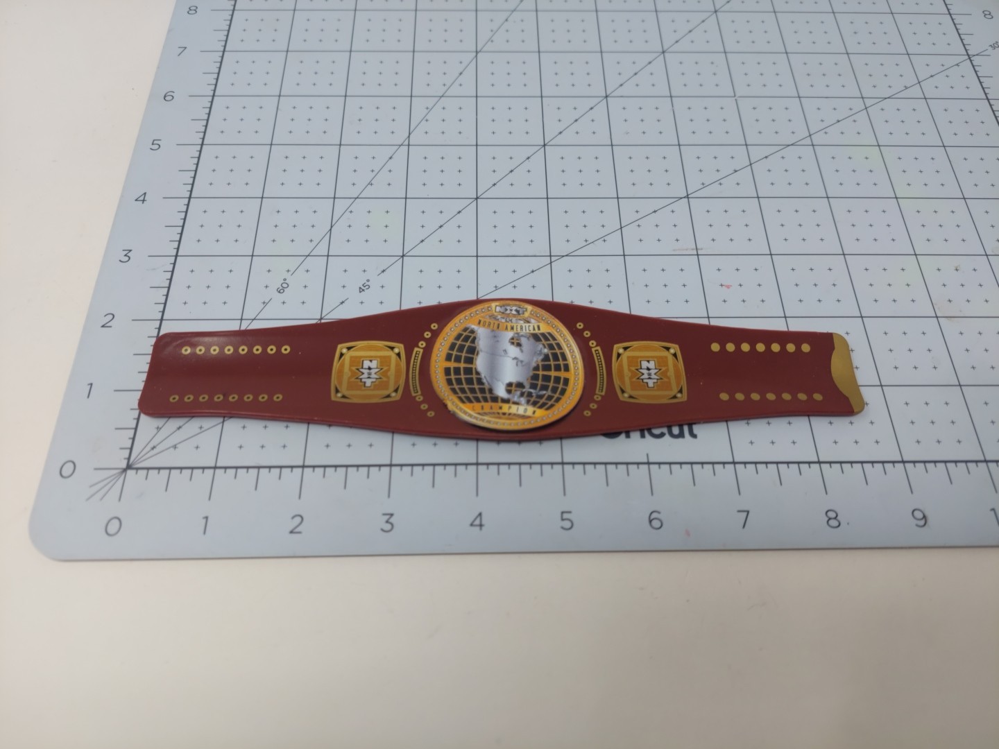Picture 5 of 5